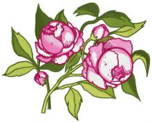 Peonies embroidery design