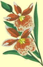 Orchids free embroidery embroidery design