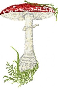 Amanita muscaria big mushroom embroidery design
