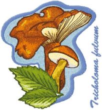 Tricholoma Fulvum embroidery design
