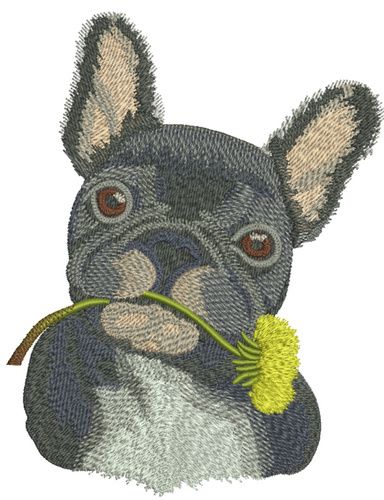 French bulldog with dandelion machine embroidery design