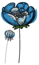 Azure Blossom Haven embroidery design