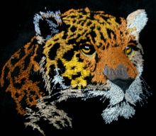 Leopard embroidery design