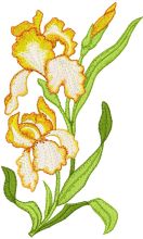Orchids embroidery design