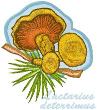 Lactarius Deterrimus embroidery design