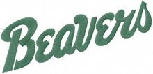 Bemidji State Beavers wordmark logo embroidery design