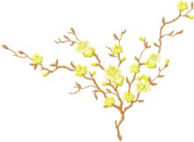 Apple flowers branch embroidery design