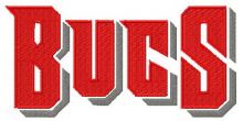 Tampa Bay Buccaneers wordmark logo embroidery design