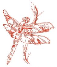 Dragonfly sketch embroidery design