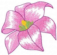Gladiolus free embroidery design