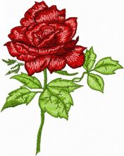 Rose 1 embroidery design