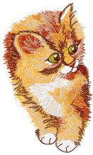 Cute kitten embroidery design
