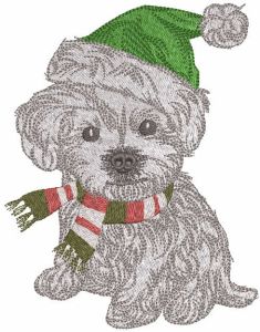Ready for a winter walk embroidery design
