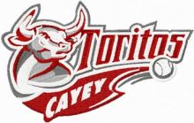 Toritos Cayey logo embroidery design