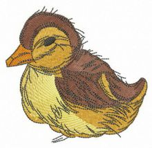 Small duckling embroidery design