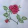 Roses design embroidered