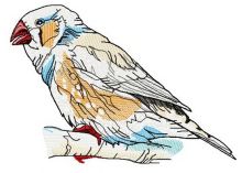 Sparrow embroidery design