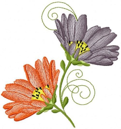 Two Asters flowers free embroidery design