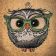 Cute smart owl embroidered design