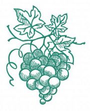 Green grapes 2 embroidery design