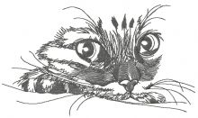 Curious cat 5 embroidery design