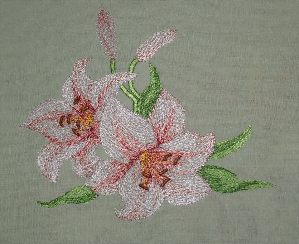 Lily Embroidery Design -  Canada