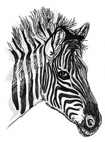 Download Zebra 3 embroidery design