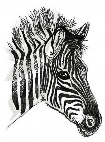 Zebra 3 machine embroidery design