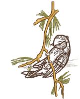 Bird on a branch free embroidery design
