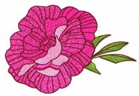 Rose free embroidery design 18