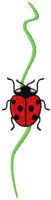Leave and ladybug embroidery design