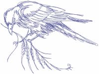Crow on a branch embroidery design