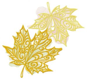 Maple leaves 6