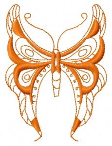 Butterfly 26