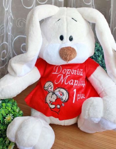 Embroidered dress for bunny toy