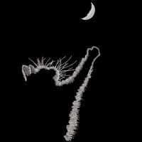 Cat catches the crescent moon embroidery design