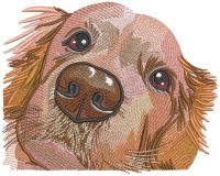 Golden retriever muzzle embroidery design