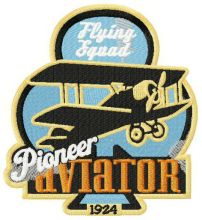 Pioneer aviator