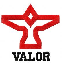 Team Valor logo