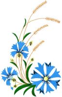 Cornflower 4 embroidery design