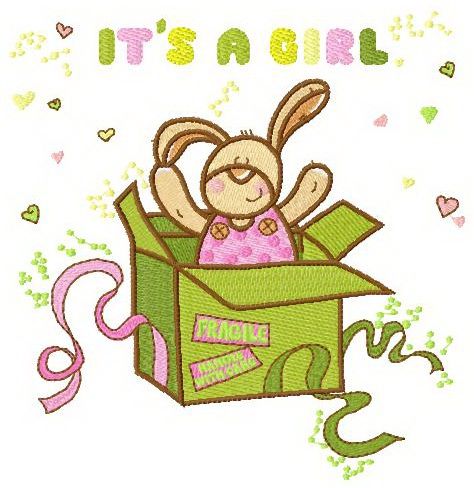 It's a girl surprise machine embroidery design