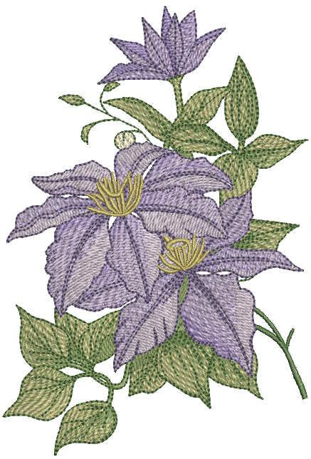 Clematis minister bouquet embroidery design