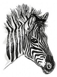 Zebra 3 embroidery design