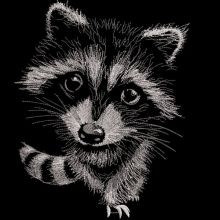 Raccoon at night embroidery design