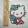 Hello Kitty summer day design embroidered