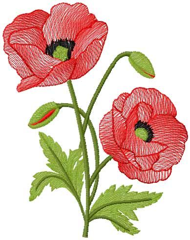Poppies free embroidery design 14