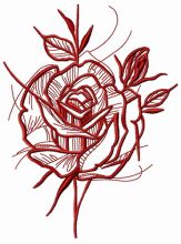Prickly rose sketch 2
