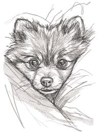 Pomeranian from behind the bosom embroidery design