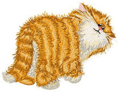 Sad cat machine embroidery design