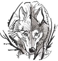 Wolf time pencil sketch